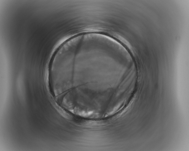 X0000115101179200911241227