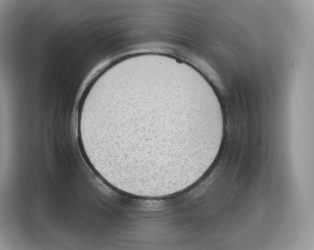 X0000115101180200911241227