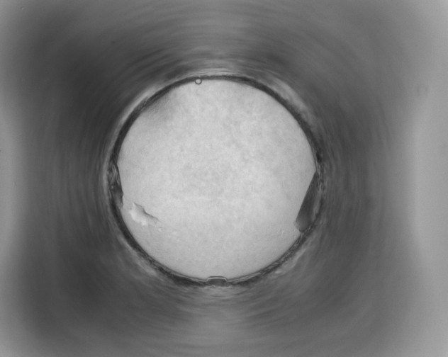 X0000115101181200911241227