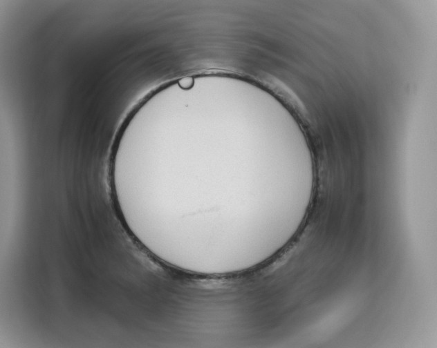 X0000115101182200911241227