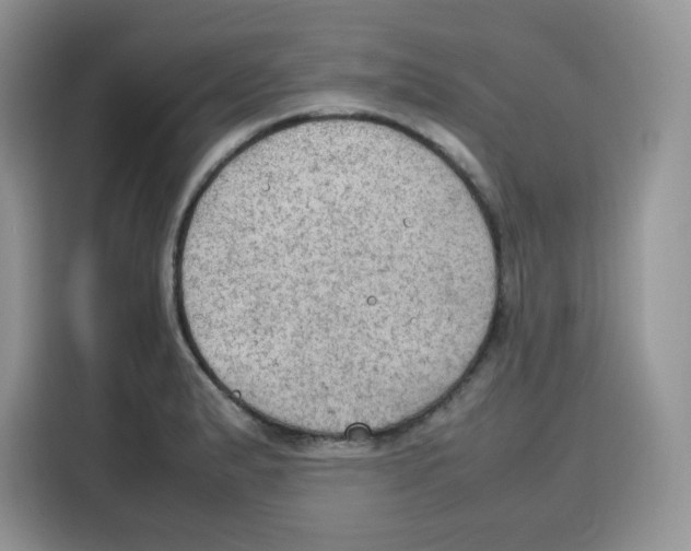 X0000115101183200911241227