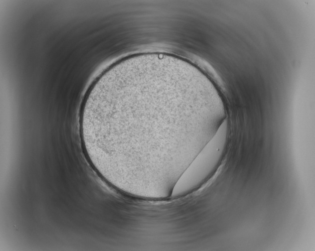 X0000115101184200911241227