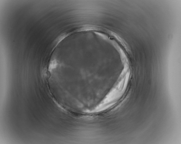 X0000115101185200911241227