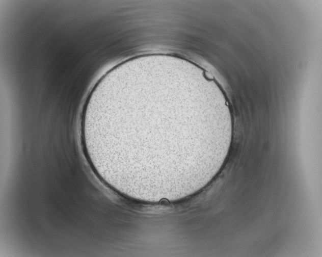 X0000115101187200911241227