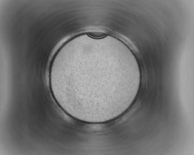 X0000115101188200911241227