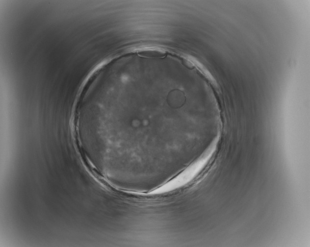 X0000115101189200911241227