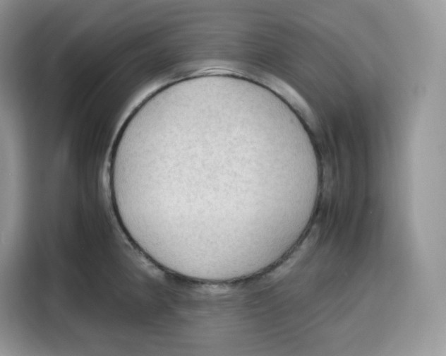 X0000115101190200911241227