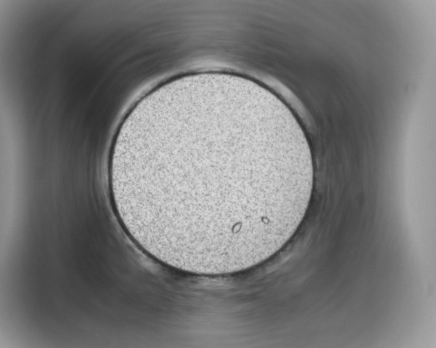 X0000115101191200911241227