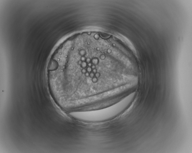 X0000115101192200911241227