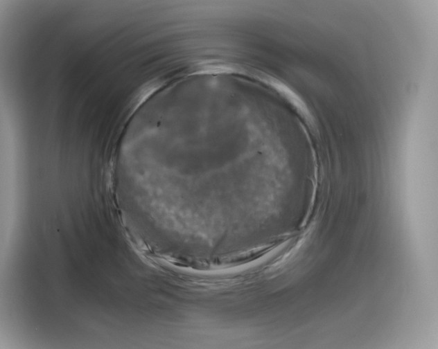 X0000115101193200911241227