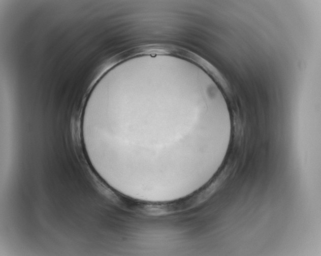 X0000115101194200911241227