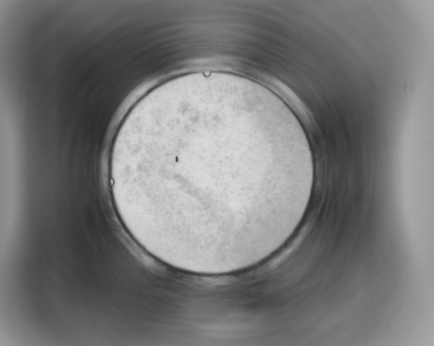 X0000115101196200911241227