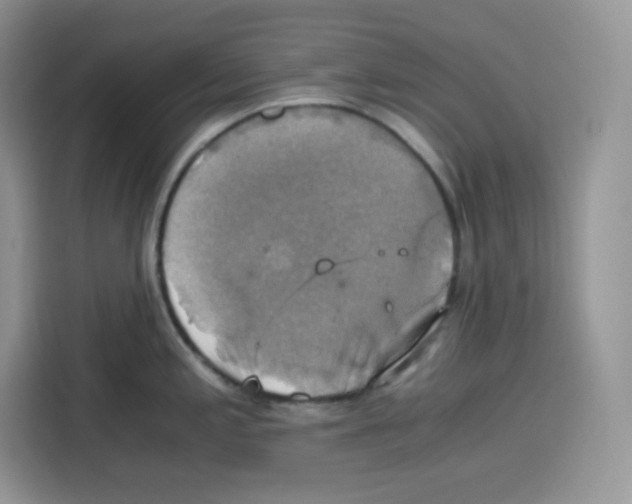 X0000115101197200911241227