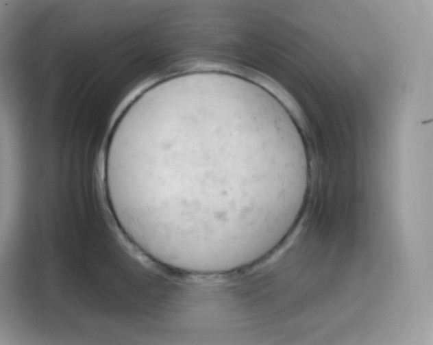 X0000115101198200911241227