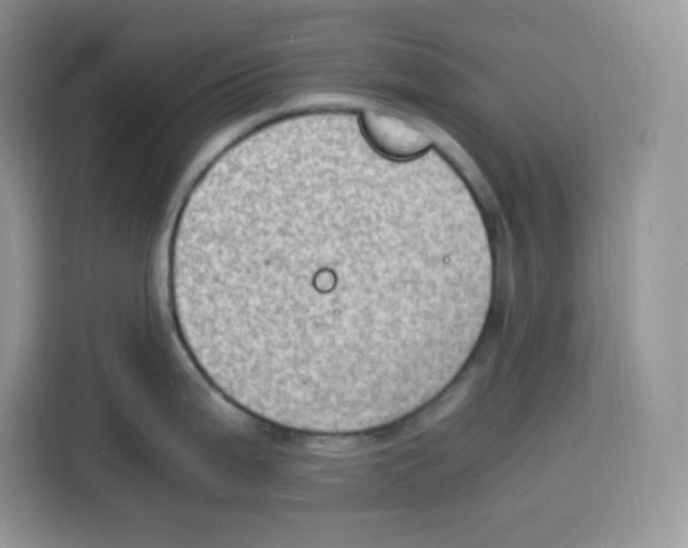 X0000115101199200911241227