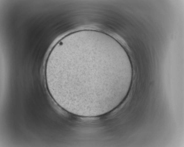 X0000115101200200911241227