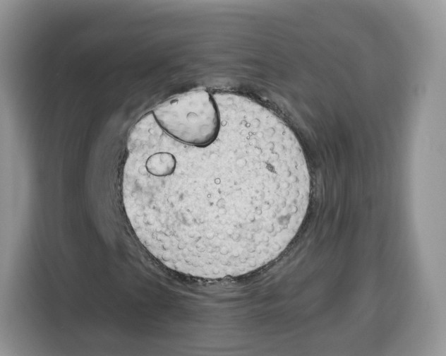 X0000115101201200911241227