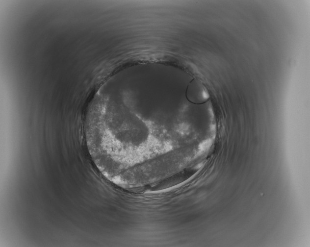 X0000115101202200911241227