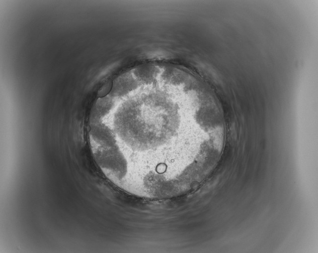 X0000115101205200911241227