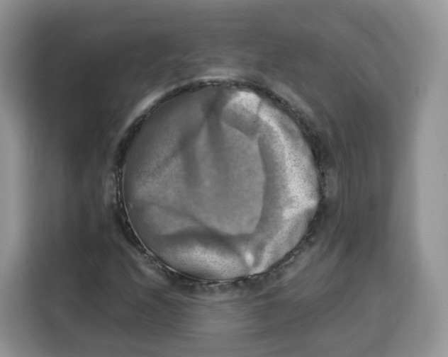 X0000115101208200911241227