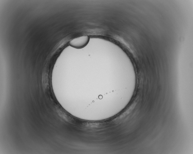 X0000115101211200911241227