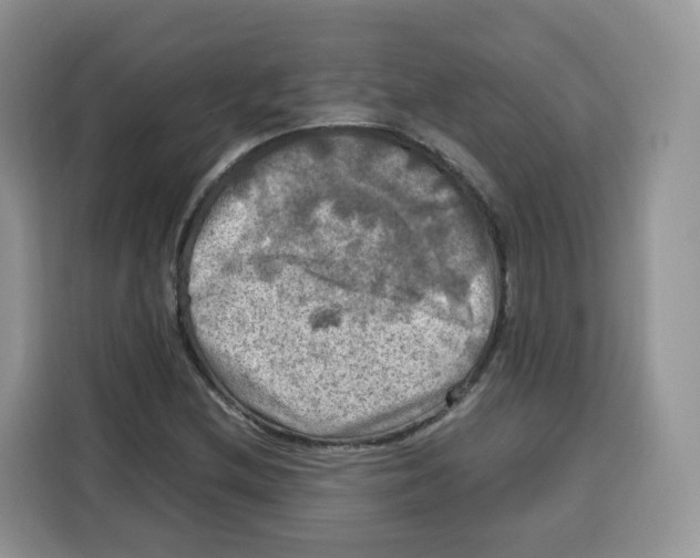 X0000115101212200911241227