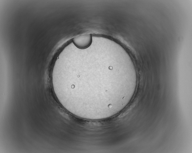 X0000115101215200911241227