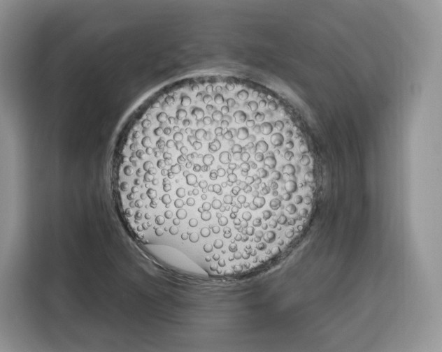 X0000115101216200911241227