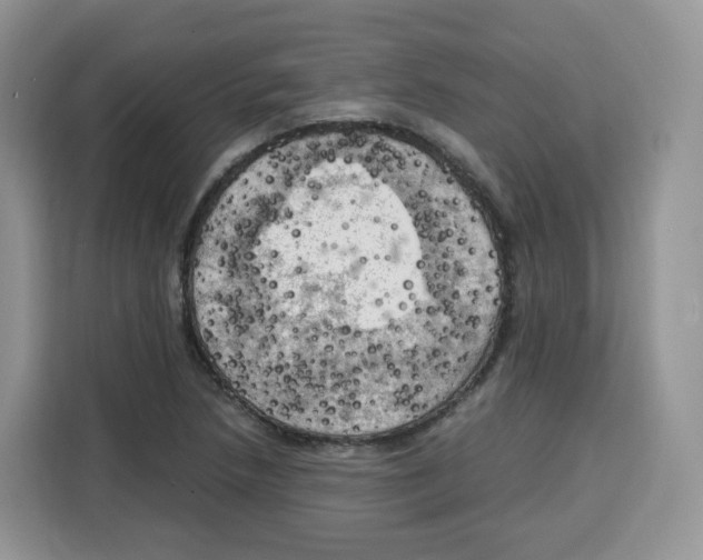 X0000115101218200911241227