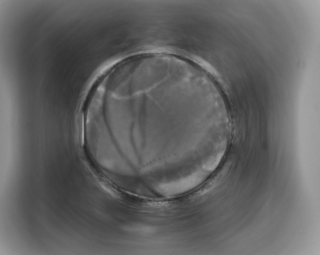 X0000115101223200911241227