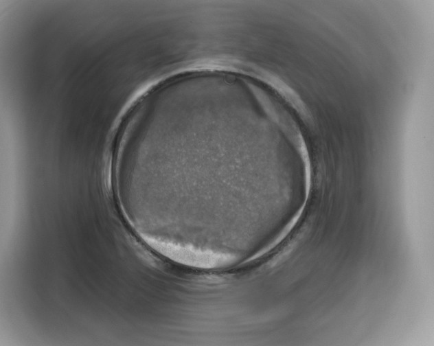 X0000115101224200911241227