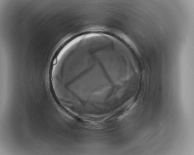 X0000115101229200911241227