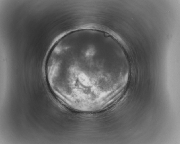 X0000115101230200911241227