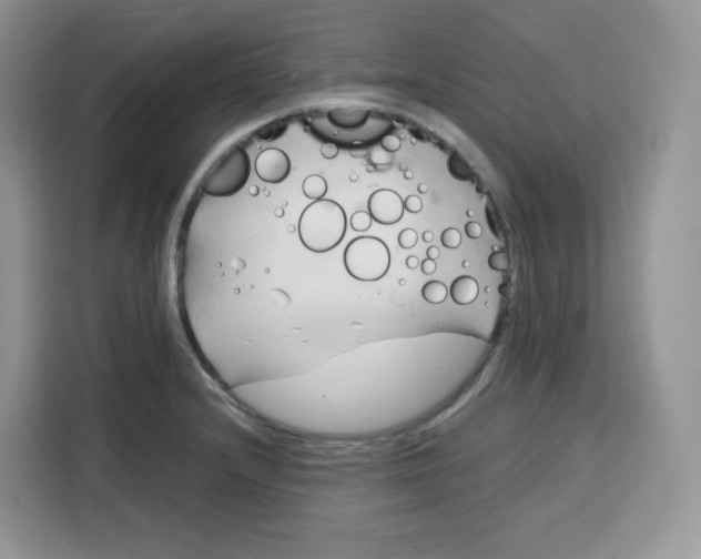 X0000115101232200911241227