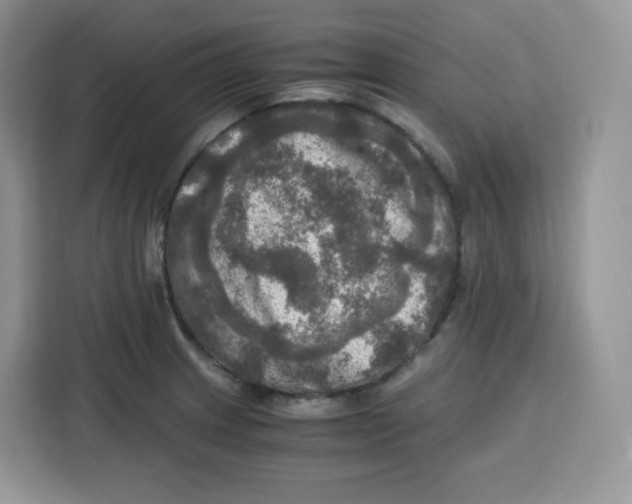 X0000115101233200911241227