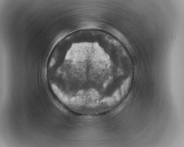 X0000115101234200911241227