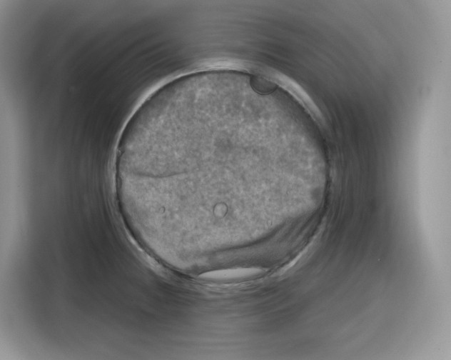 X0000115101236200911241227