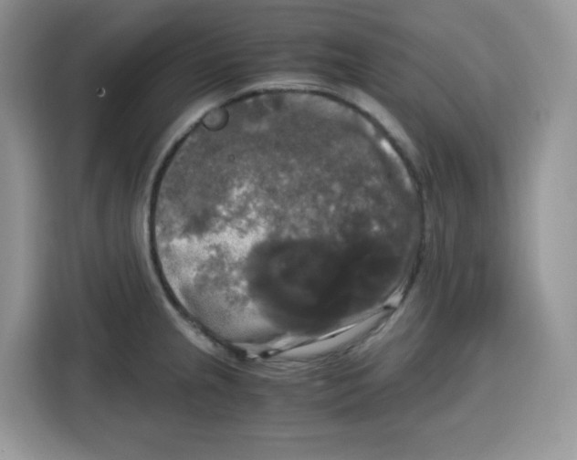 X0000115101237200911241227