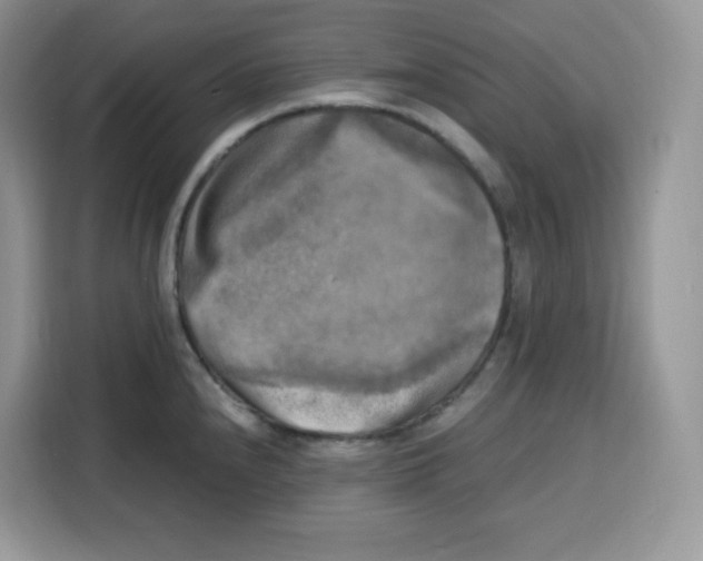 X0000115101240200911241227