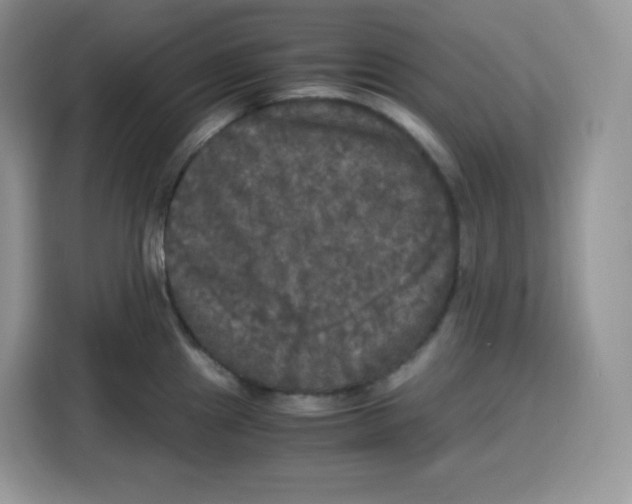 X0000115101241200911241227