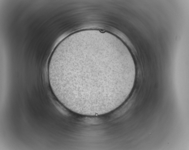 X0000115101242200911241227