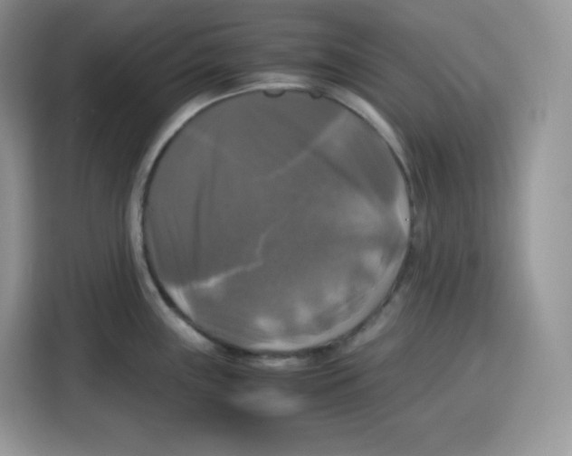 X0000115101243200911241227