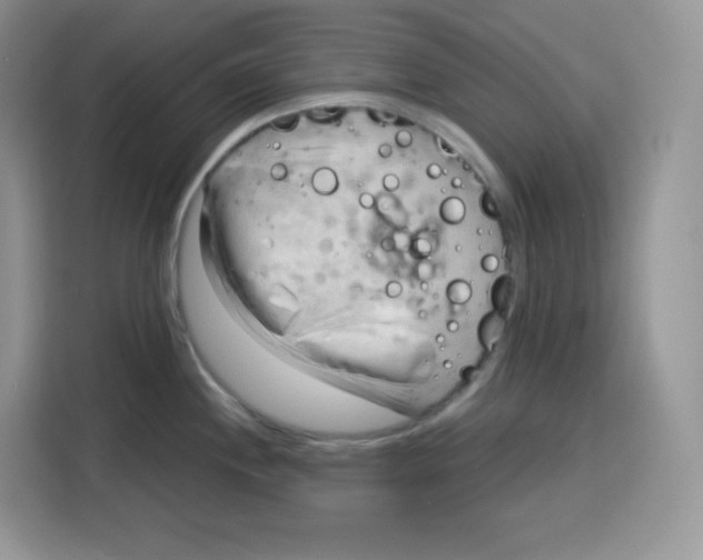 X0000115101244200911241227