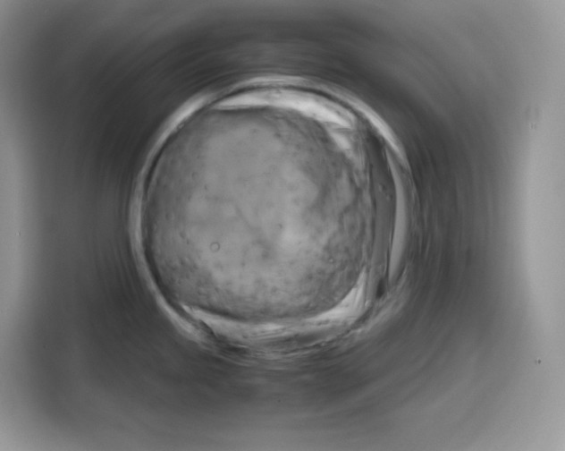 X0000115101245200911241227