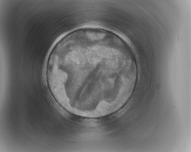 X0000115101248200911241227