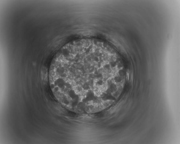 X0000115101251200911241226