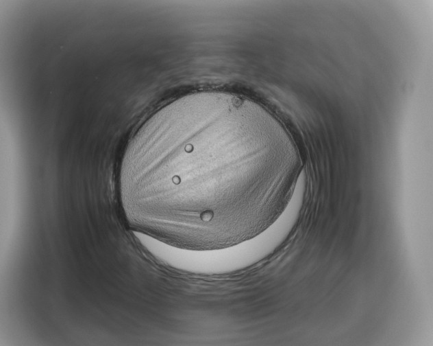 X0000115101252200911241226