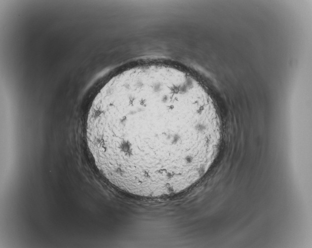 X0000115101255200911241226