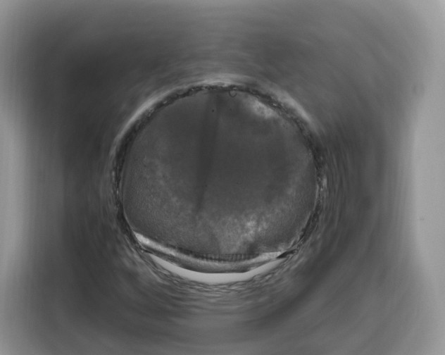 X0000115101256200911241226