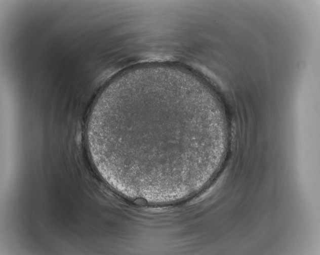 X0000115101257200911241226